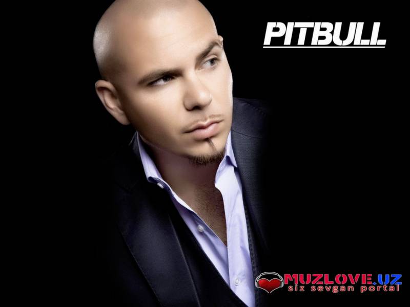 Pitbull ft. Chris Brown - Fun (Official HD Video)