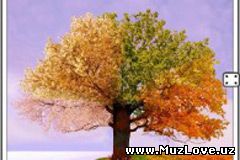 Color Splash Effect Pro